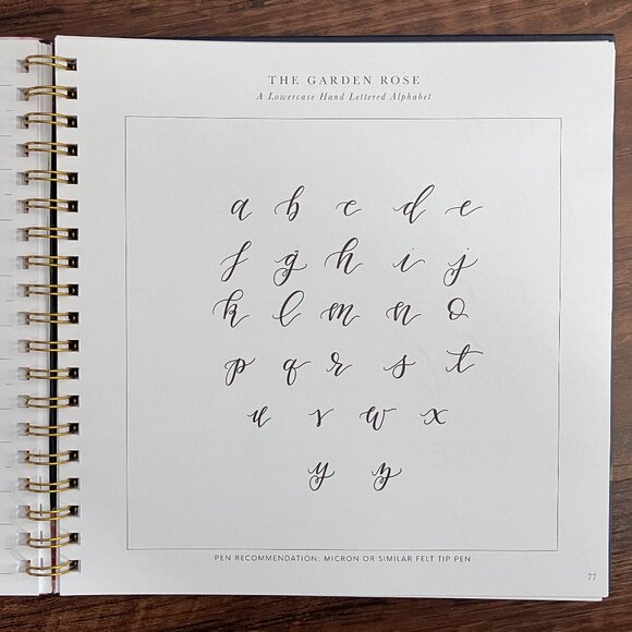 NEW Pretty simple Lettering Calligraphy Hand Lettering For Beginners with PENS - Picture 4 of 8